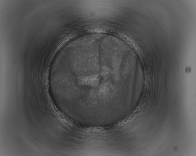 X0000098070386200804251443