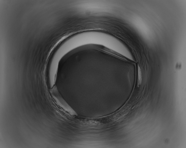 X0000098070387200804251443