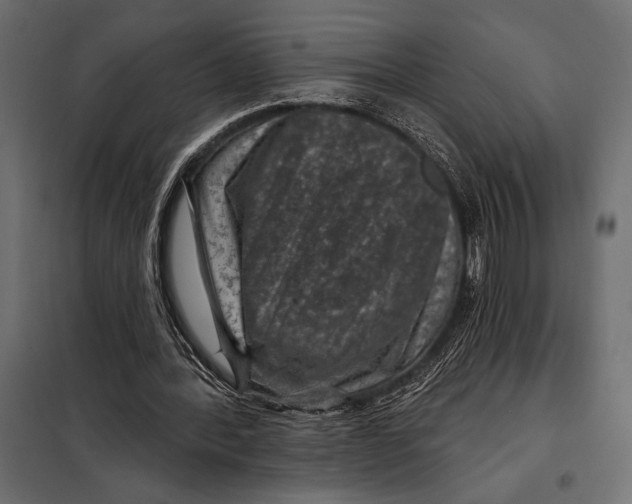 X0000098070388200804251443