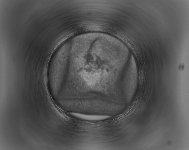 X0000098070390200804251443