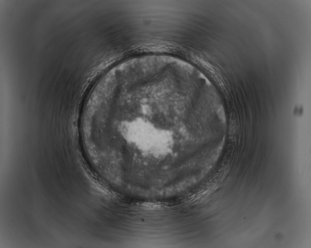 X0000098070394200804251443