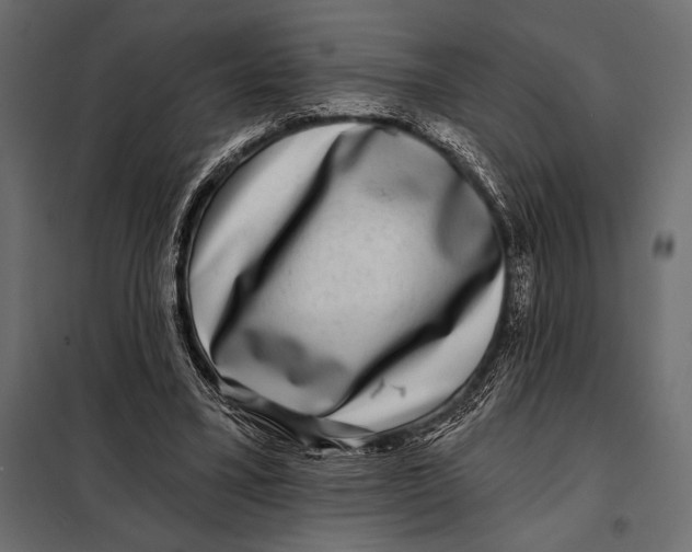 X0000098070395200804251443