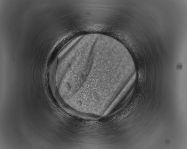 X0000098070396200804251443