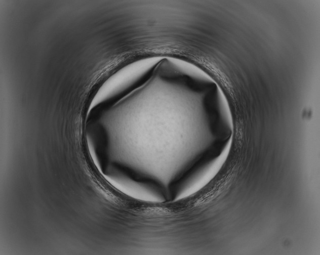 X0000098070397200804251443