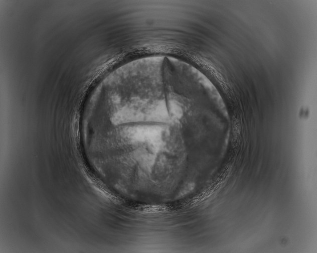 X0000098070398200804251443