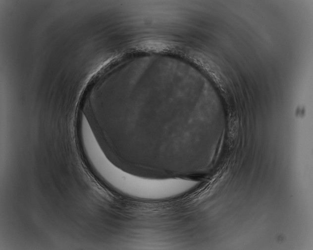 X0000098070399200804251443