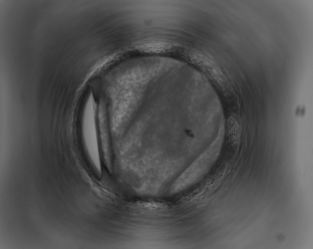 X0000098070400200804251443