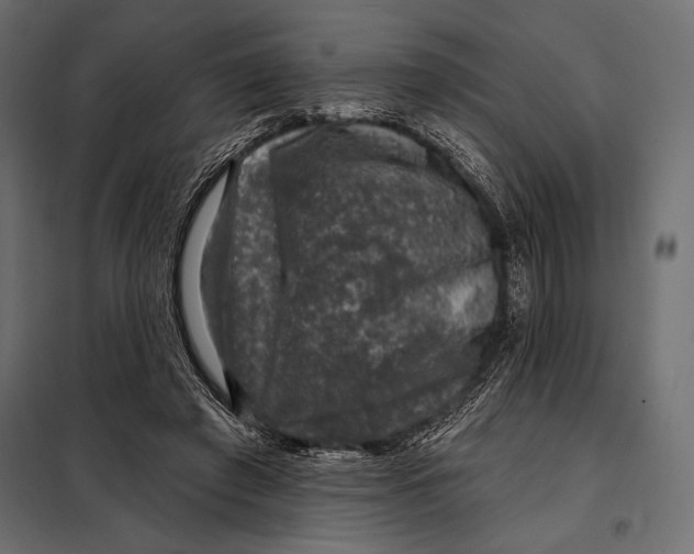 X0000098070401200804251443