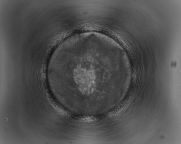 X0000098070402200804251443