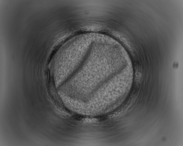 X0000098070403200804251443