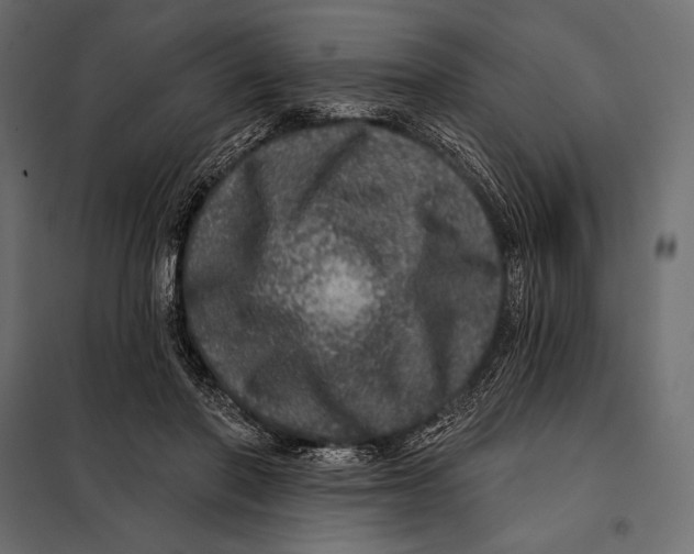 X0000098070406200804251443