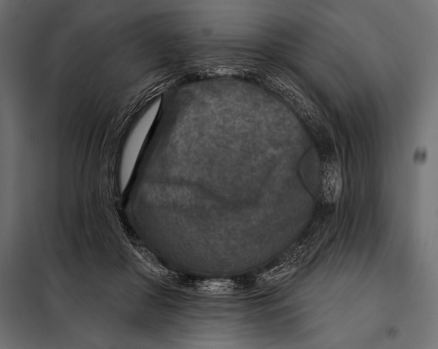 X0000098070410200804251443