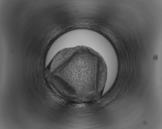 X0000098070411200804251443