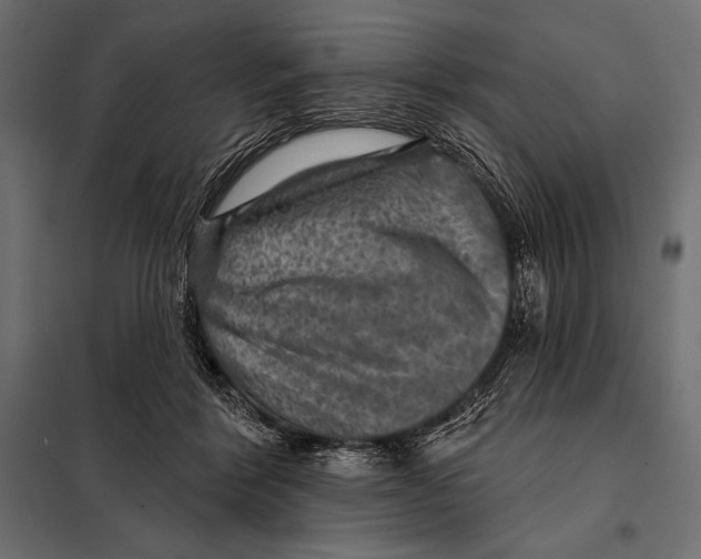 X0000098070412200804251443