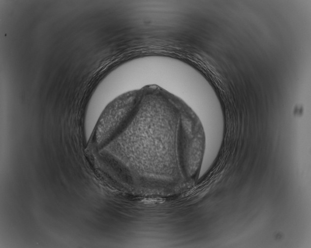 X0000098070415200804251443