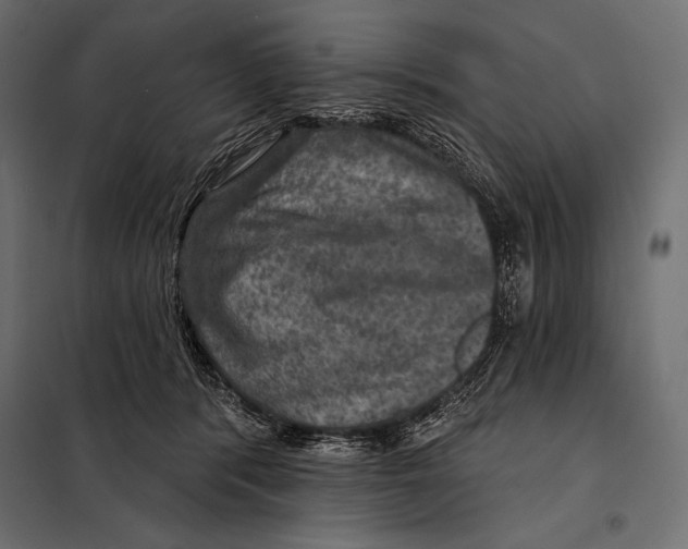 X0000098070416200804251443