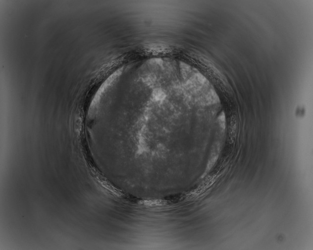 X0000098070417200804251442