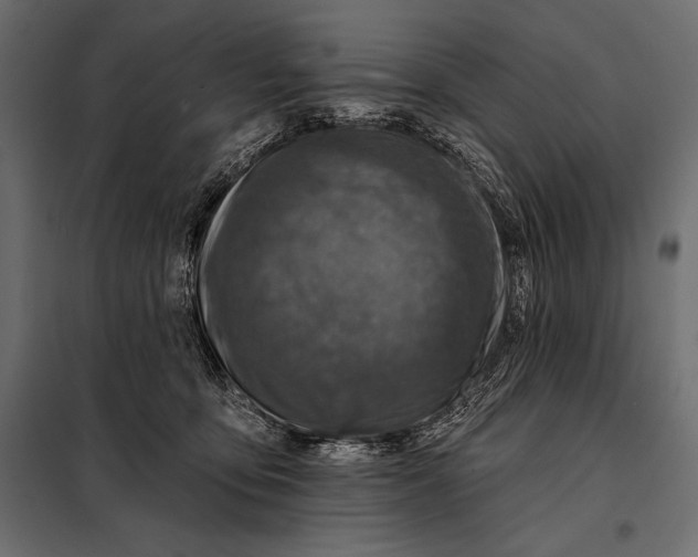 X0000098070419200804251442