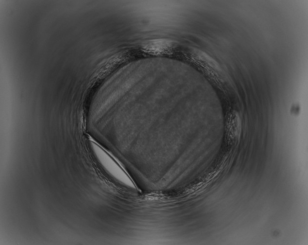 X0000098070420200804251442