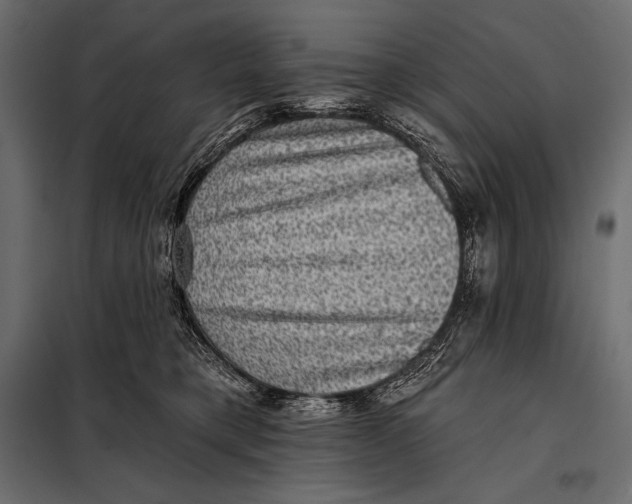 X0000098070421200804251442