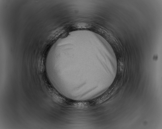 X0000098070422200804251442