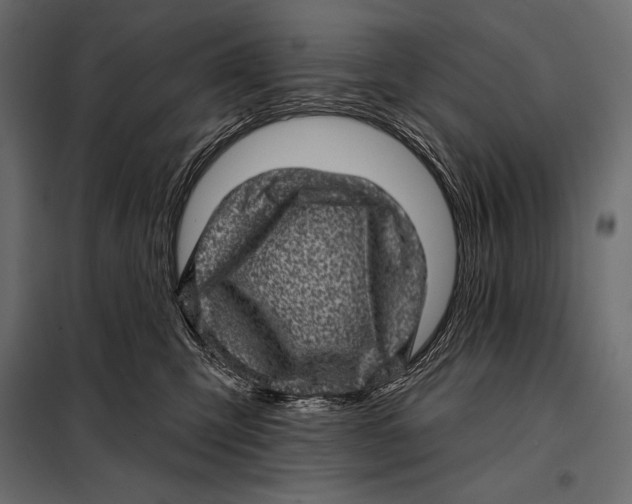 X0000098070423200804251442