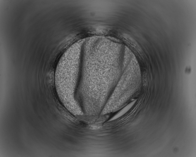 X0000098070425200804251442