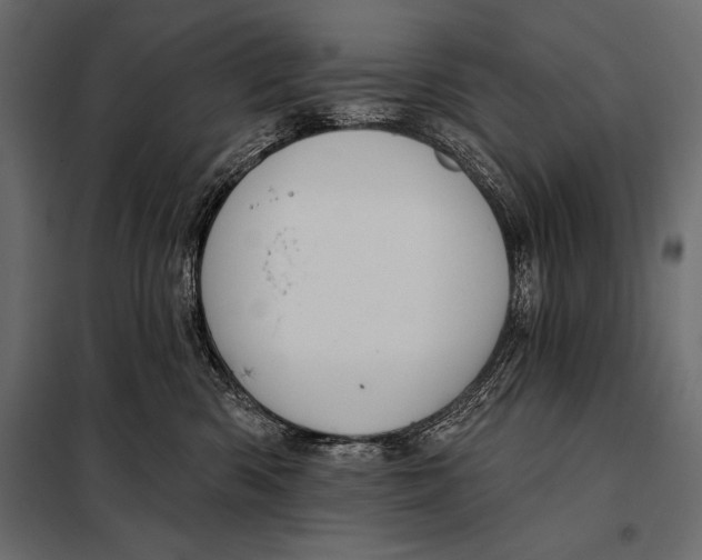 X0000098070426200804251442