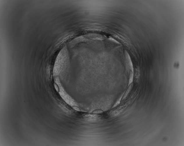 X0000098070428200804251442