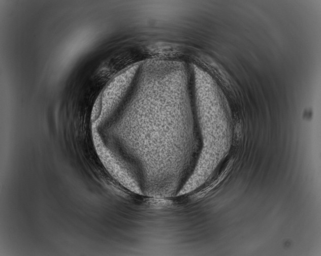 X0000098070429200804251442