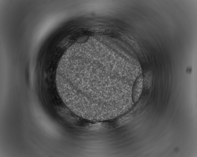 X0000098070430200804251442