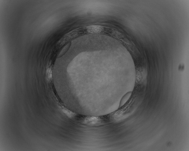 X0000098070431200804251442