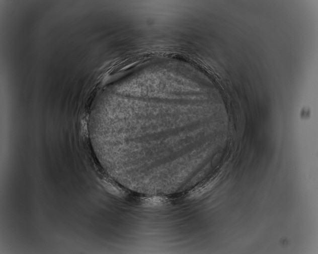 X0000098070432200804251442