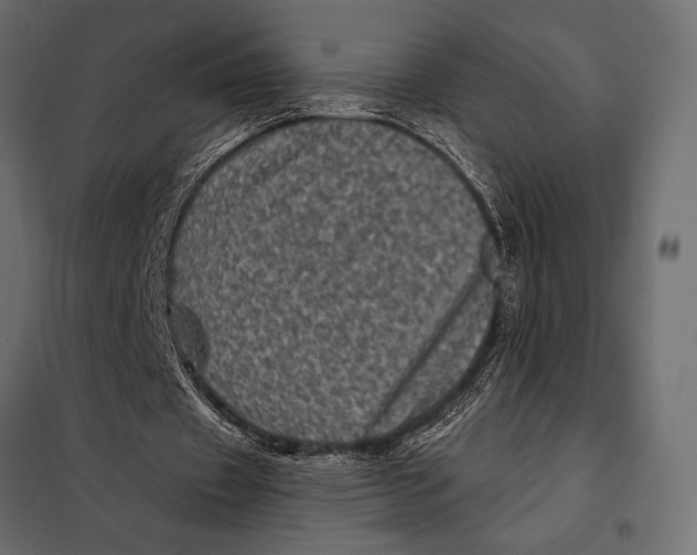 X0000098070433200804251442