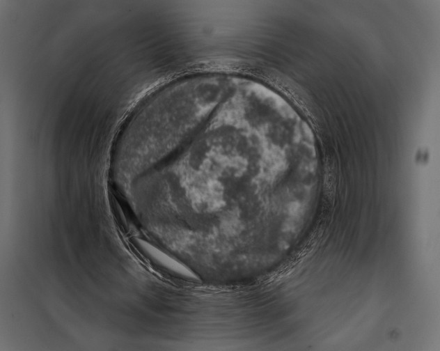 X0000098070434200804251442