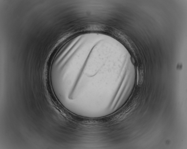 X0000098070435200804251442