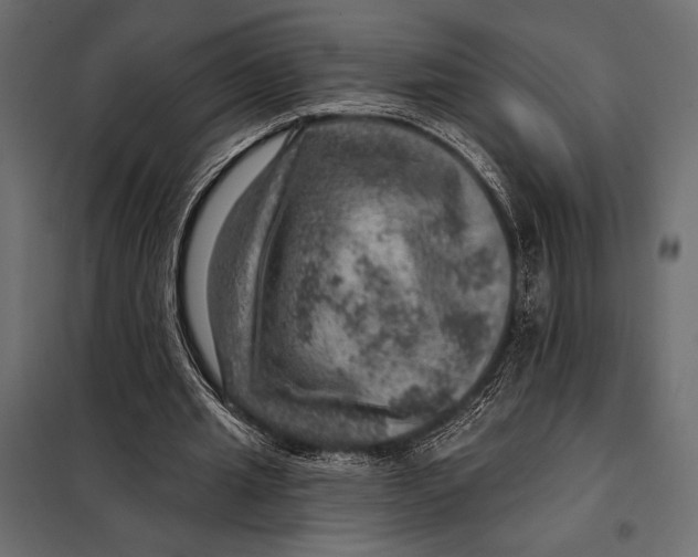 X0000098070437200804251442