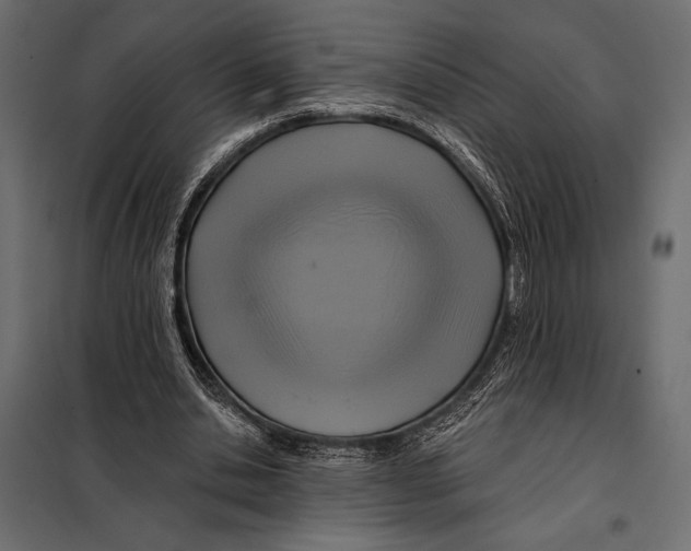 X0000098070438200804251442