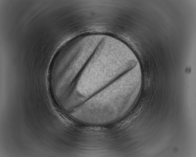 X0000098070439200804251442