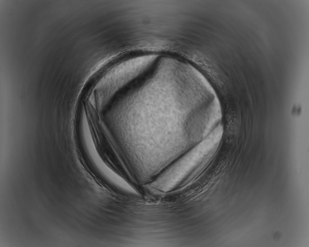 X0000098070440200804251442