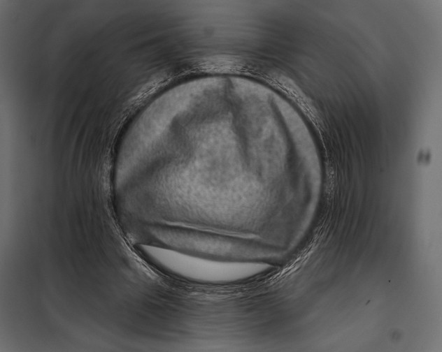 X0000098070441200804251442