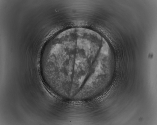 X0000098070443200804251442