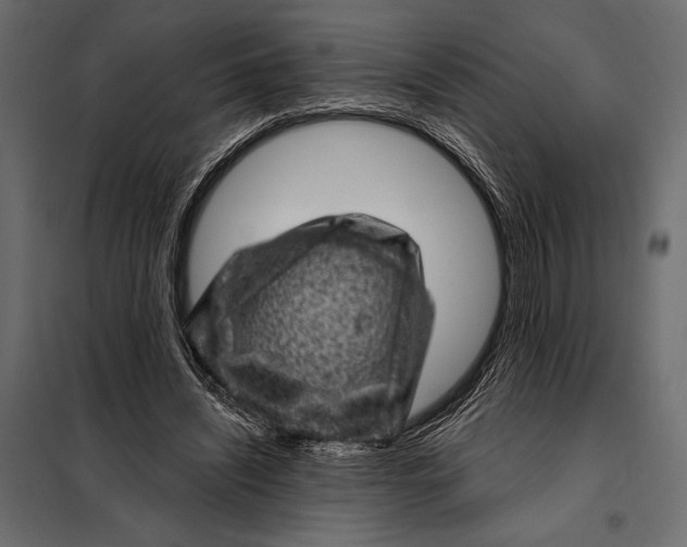 X0000098070444200804251442