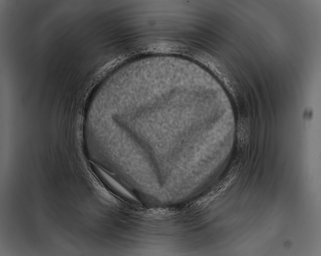 X0000098070445200804251442