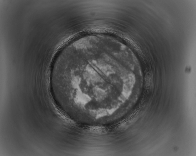 X0000098070446200804251442