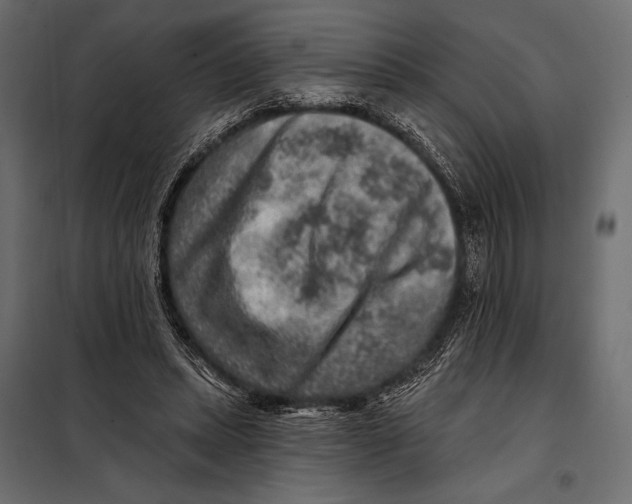 X0000098070447200804251442