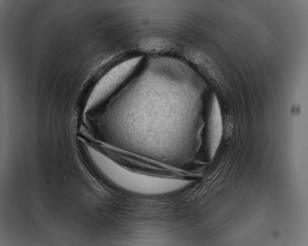 X0000098070448200804251442