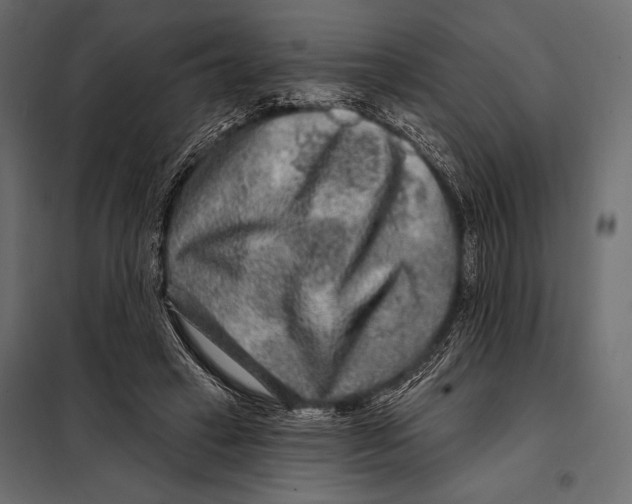 X0000098070449200804251442