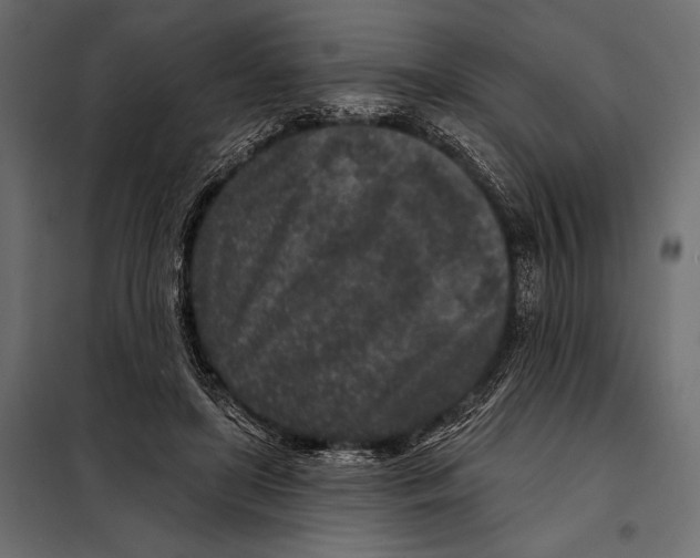 X0000098070451200804251442