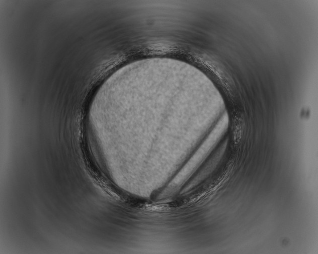 X0000098070455200804251442